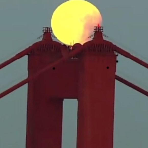 Meet your Posher, Sandi - Picture 4 of 16